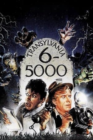 25133