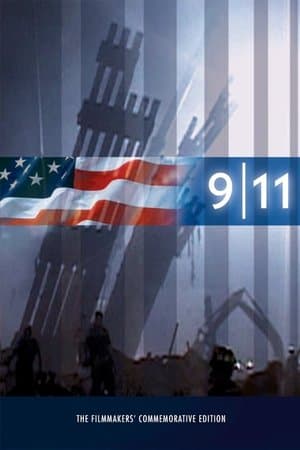 11304