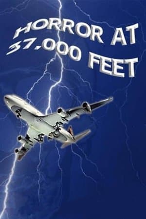 29075