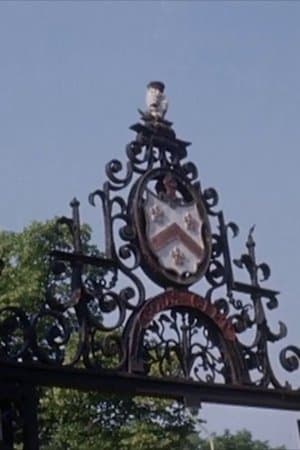 Film image